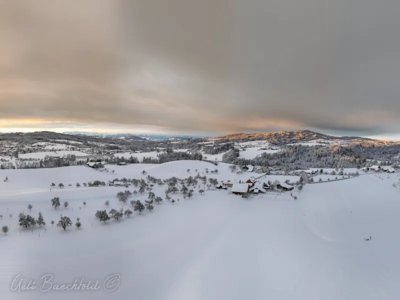 dji 20241122150139 d